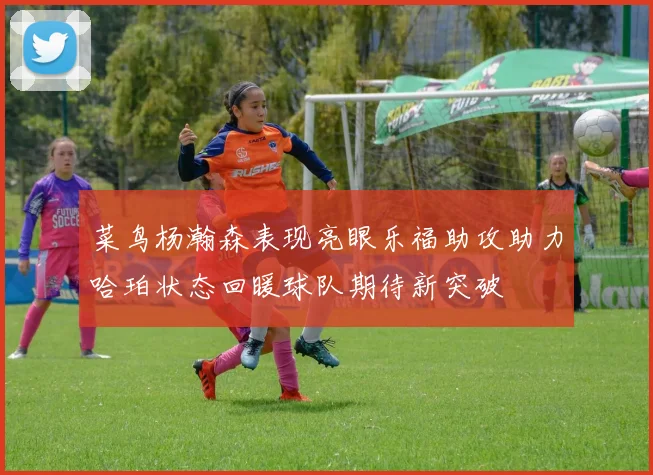 菜鸟杨瀚森表现亮眼乐福助攻助力哈珀状态回暖球队期待新突破
