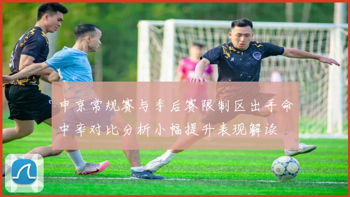 申京常规赛与季后赛限制区出手命中率对比分析小幅提升表现解读